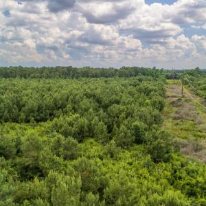 Photo #10 of SOLD property in Off Quinn Farm Lane, Clinton, NC 48.2 acres