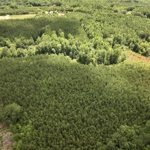 Photo #11 of SOLD property in 11 Peachtree Hills Road, Spring Hope, NC 20.0 acres