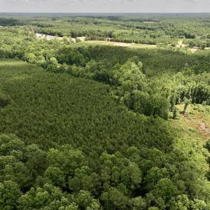 Photo #12 of SOLD property in 11 Peachtree Hills Road, Spring Hope, NC 20.0 acres