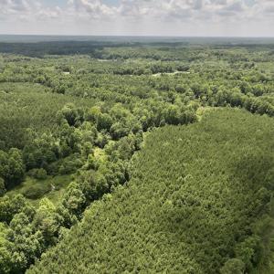 Photo #13 of SOLD property in 11 Peachtree Hills Road, Spring Hope, NC 20.0 acres