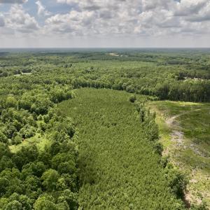 Photo #14 of SOLD property in 11 Peachtree Hills Road, Spring Hope, NC 20.0 acres