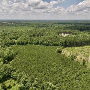 Photo #15 of SOLD property in 11 Peachtree Hills Road, Spring Hope, NC 20.0 acres