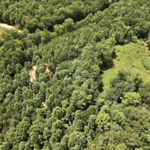 Photo #17 of SOLD property in 11 Peachtree Hills Road, Spring Hope, NC 20.0 acres