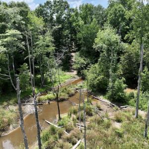 Photo #18 of SOLD property in 11 Peachtree Hills Road, Spring Hope, NC 20.0 acres