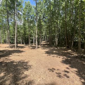 Photo #24 of SOLD property in 11 Peachtree Hills Road, Spring Hope, NC 20.0 acres
