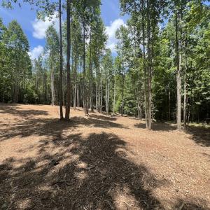 Photo #25 of SOLD property in 11 Peachtree Hills Road, Spring Hope, NC 20.0 acres