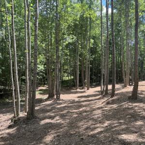 Photo #26 of SOLD property in 11 Peachtree Hills Road, Spring Hope, NC 20.0 acres