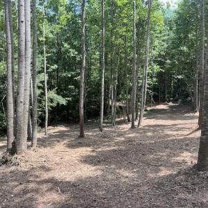 Photo #27 of SOLD property in 11 Peachtree Hills Road, Spring Hope, NC 20.0 acres