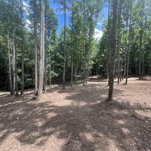 Photo #28 of SOLD property in 11 Peachtree Hills Road, Spring Hope, NC 20.0 acres