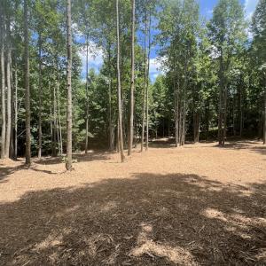 Photo #29 of SOLD property in 11 Peachtree Hills Road, Spring Hope, NC 20.0 acres