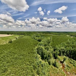 Photo #4 of SOLD property in 11 Peachtree Hills Road, Spring Hope, NC 20.0 acres