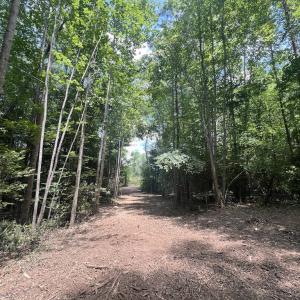 Photo #31 of SOLD property in 11 Peachtree Hills Road, Spring Hope, NC 20.0 acres