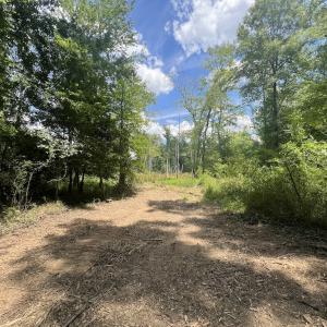 Photo #33 of SOLD property in 11 Peachtree Hills Road, Spring Hope, NC 20.0 acres