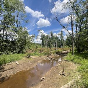 Photo #34 of SOLD property in 11 Peachtree Hills Road, Spring Hope, NC 20.0 acres