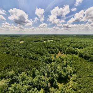 Photo #5 of SOLD property in 11 Peachtree Hills Road, Spring Hope, NC 20.0 acres