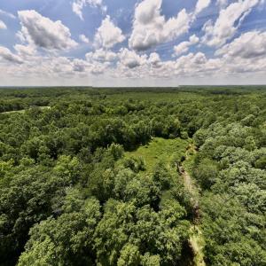 Photo #6 of SOLD property in 11 Peachtree Hills Road, Spring Hope, NC 20.0 acres
