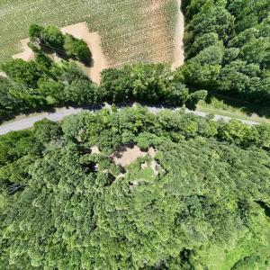 Photo #7 of SOLD property in 11 Peachtree Hills Road, Spring Hope, NC 20.0 acres