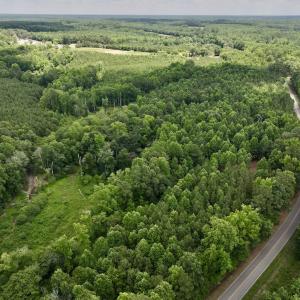 Photo #9 of SOLD property in 11 Peachtree Hills Road, Spring Hope, NC 20.0 acres