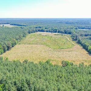 Photo #12 of SOLD property in Off Courthouse Rd, Stony Creek, VA 25.4 acres