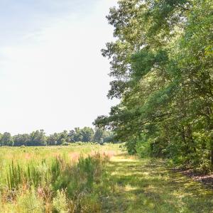 Photo #14 of SOLD property in Off Courthouse Rd, Stony Creek, VA 25.4 acres