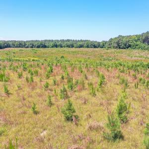 Photo #3 of SOLD property in Off Courthouse Rd, Stony Creek, VA 25.4 acres