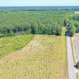 Photo #4 of SOLD property in Off Courthouse Rd, Stony Creek, VA 25.4 acres