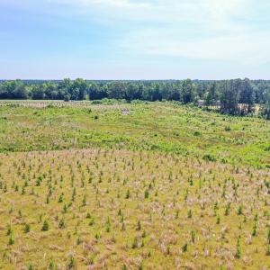 Photo #6 of SOLD property in Off Courthouse Rd, Stony Creek, VA 25.4 acres