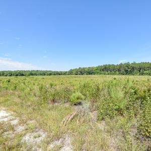 Photo #8 of SOLD property in Off Courthouse Rd, Stony Creek, VA 25.4 acres
