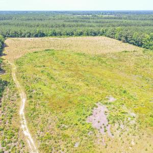 Photo #9 of SOLD property in Off Courthouse Rd, Stony Creek, VA 25.4 acres