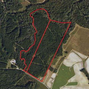Photo #1 of SOLD property in 2729 McNeill Hobbs Rd, Bunnlevel, NC 64.6 acres