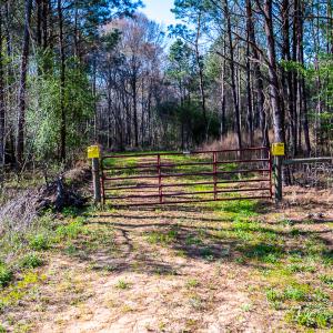 Photo #20 of SOLD property in 2729 McNeill Hobbs Rd, Bunnlevel, NC 64.6 acres