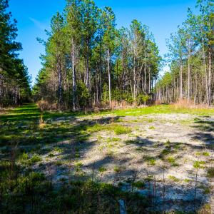Photo #26 of SOLD property in 2729 McNeill Hobbs Rd, Bunnlevel, NC 64.6 acres