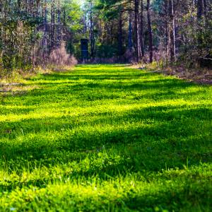 Photo #31 of SOLD property in 2729 McNeill Hobbs Rd, Bunnlevel, NC 64.6 acres