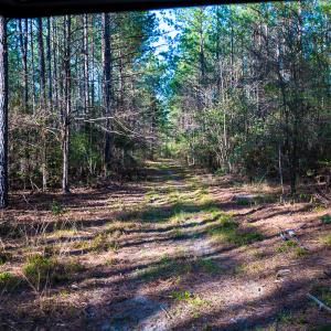 Photo #34 of SOLD property in 2729 McNeill Hobbs Rd, Bunnlevel, NC 64.6 acres