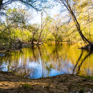 Photo #35 of SOLD property in 2729 McNeill Hobbs Rd, Bunnlevel, NC 64.6 acres