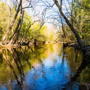 Photo #36 of SOLD property in 2729 McNeill Hobbs Rd, Bunnlevel, NC 64.6 acres