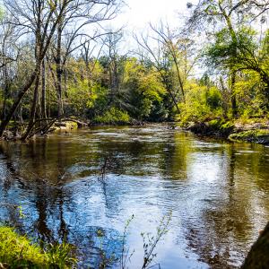 Photo #37 of SOLD property in 2729 McNeill Hobbs Rd, Bunnlevel, NC 64.6 acres