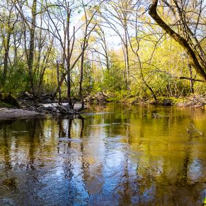 Photo #38 of SOLD property in 2729 McNeill Hobbs Rd, Bunnlevel, NC 64.6 acres