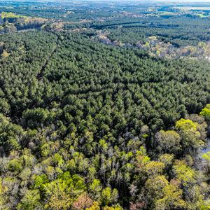 Photo #43 of SOLD property in 2729 McNeill Hobbs Rd, Bunnlevel, NC 64.6 acres