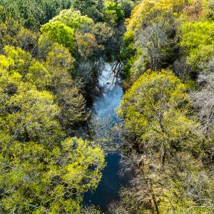 Photo #44 of SOLD property in 2729 McNeill Hobbs Rd, Bunnlevel, NC 64.6 acres