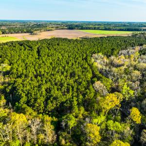 Photo #45 of SOLD property in 2729 McNeill Hobbs Rd, Bunnlevel, NC 64.6 acres