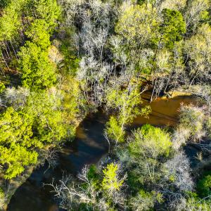 Photo #46 of SOLD property in 2729 McNeill Hobbs Rd, Bunnlevel, NC 64.6 acres