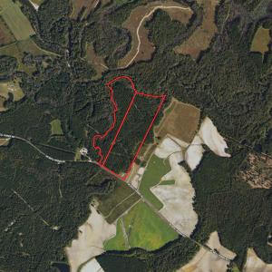 Photo #52 of SOLD property in 2729 McNeill Hobbs Rd, Bunnlevel, NC 64.6 acres