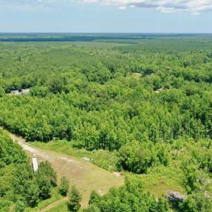 Photo #12 of SOLD property in 2910 Hills Neck Road, Emul, NC 1.9 acres
