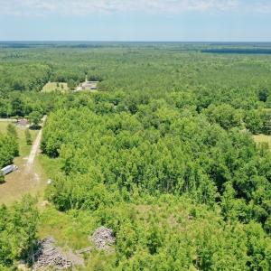 Photo #14 of SOLD property in 2910 Hills Neck Road, Emul, NC 1.9 acres
