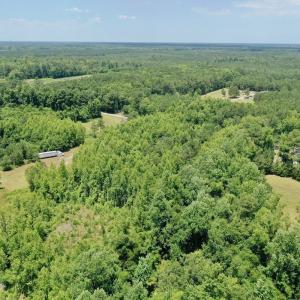 Photo #16 of SOLD property in 2910 Hills Neck Road, Emul, NC 1.9 acres