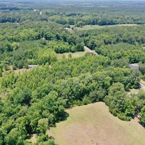 Photo #18 of SOLD property in 2910 Hills Neck Road, Emul, NC 1.9 acres