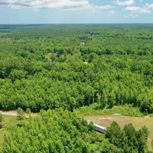 Photo #10 of SOLD property in 2910 Hills Neck Road, Emul, NC 1.9 acres