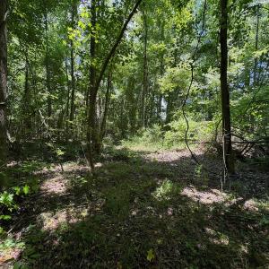 Photo #29 of SOLD property in 2910 Hills Neck Road, Emul, NC 1.9 acres