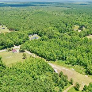 Photo #30 of SOLD property in 2910 Hills Neck Road, Emul, NC 1.9 acres